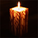 nuri candle �L�����h����� ���ԔT���q ����L�����h���g�G�����̐X�ŁhM�T�C�Y [NU-PR-ELM01-M]