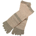 �y�V��I�z ORGANIC GARDEN�i�I�[�K�j�b�N�K�[�f��) 5�{�w ���l���E�R�b�g���{�[�_�[�\�b�N�X [NS8158]  